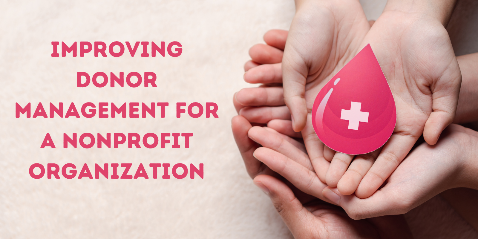 Improving Donor Management for a Nonprofit Organization